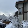Icicle Village Resort gift card