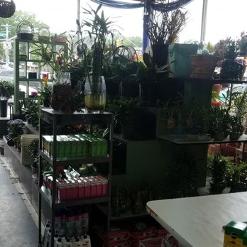 Danas Flower Shop - Florists Near Me - Forest Hills, New York