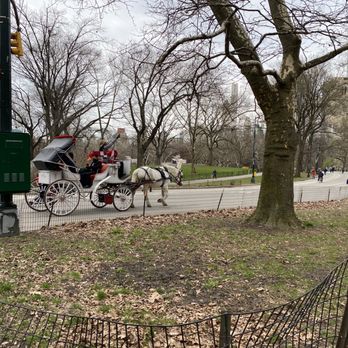 Central Park Conservancy - Parks Near Me - New York, New York Central Park Conservancy - Parks Near Me - New York, New York