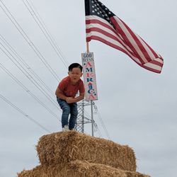 Pumpkin & Polar Palooza - God Bless America