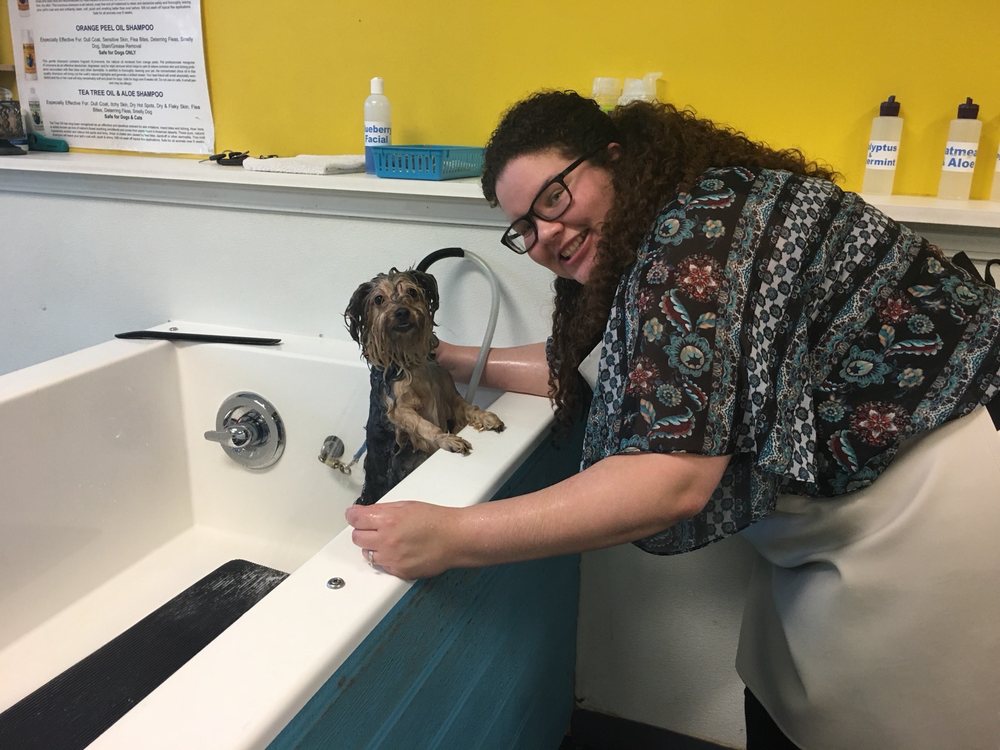 TOP DOG SELF WASH Updated August 2024 11 Photos & 12 Reviews 1516