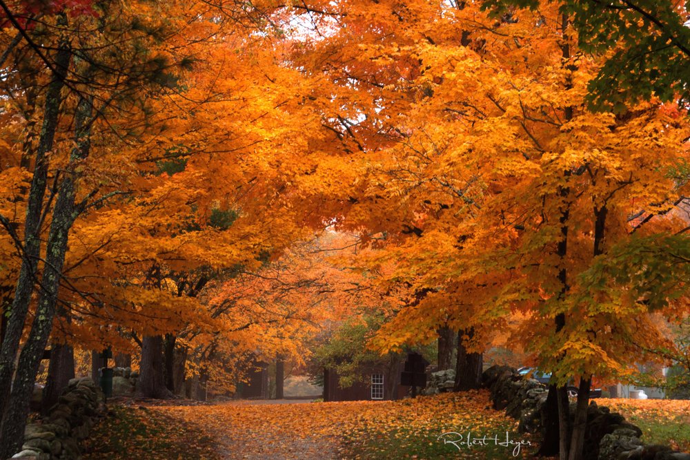 BEAVER BROOK ASSOCIATION Updated August 2024 63 Photos 117 Ridge Rd, Hollis, New Hampshire