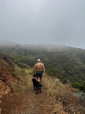 Solstice Canyon by null