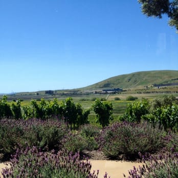 Ram's Gate Winery - View from the tasting room... absolutely gorgeous. - Wineries Near Me - Sonoma, California Ram's Gate Winery - View from the tasting room... absolutely gorgeous. - Wineries Near Me - Sonoma, California