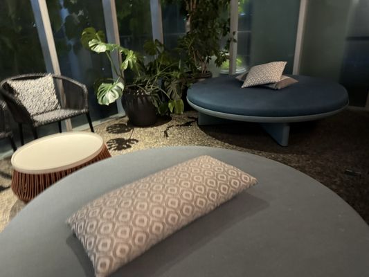 W Mexico City by null