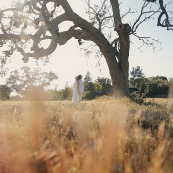 Hovey Films - Sydney and Titus share a quiet moment beneath a sprawling oak tree during their farm wedding, surrounded by golden grass and natural light - Videographers Near Me - Isla Vista, California Hovey Films - Sydney and Titus share a quiet moment beneath a sprawling oak tree during their farm wedding, surrounded by golden grass and natural light - Videographers Near Me - Isla Vista, California