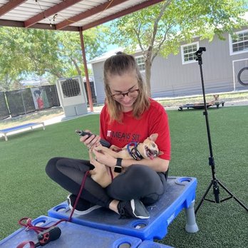 Sit Means Sit Cibolo - One of the awesome trainers holding my "mean" chihuahua. He's not so tough anymore! - Pet Training Near Me - Marion, Texas
