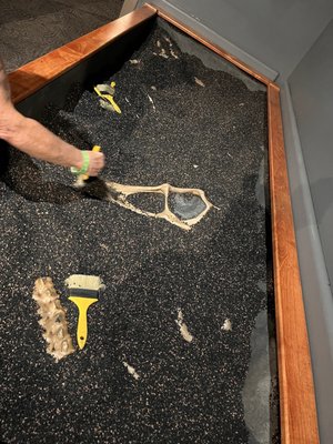 Orlando Science Center by null