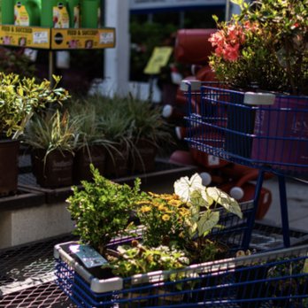 lowe's on coliseum boulevard