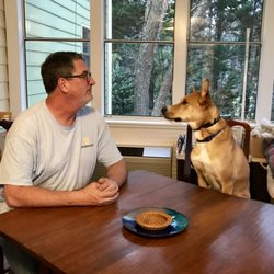 Expert K9 Academy - At Obedience Class