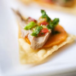 Savory - Tropical Pork Wontons with a sweet potato slice, fresh mango salsa and marinated pork