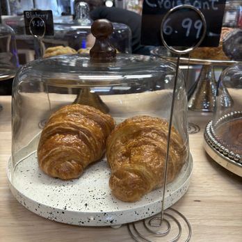 Terra Forte Coffee - Coffee & Tea Near Me - Sacramento, California Terra Forte Coffee - Coffee & Tea Near Me - Sacramento, California