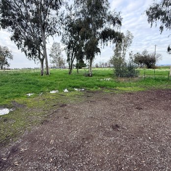 Monks Land Management - Over grown field - Excavation Services Near Me Monks Land Management - Over grown field - Excavation Services Near Me