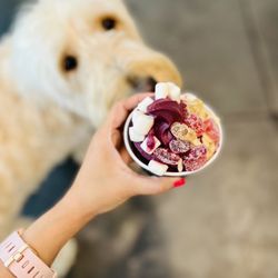 Pressed Juicery - Baci & Strawberry Orange Mango Smoothie , Vanilla Vegan Soft Serve with Toppings!