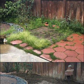 Big Leaf Tree Care - Pleasure working with Ralph and team again. - Tree Services Near Me - Rancho Cucamonga, California