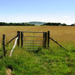 South Downs Walks: Berwick to Willingdon, via Arlington,