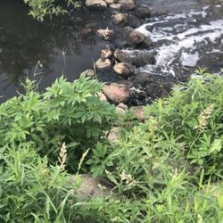Creek Valley Park