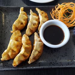 HX46 - Gyoza