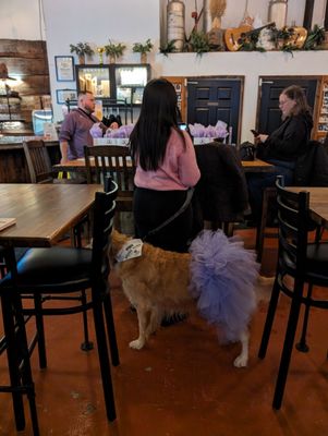 Rouge River Brewing Company by null