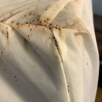 On-Site Pest Control Solutions - Bedbug fecal matter observed on bed sheet of mattress - Pest Control Near Me