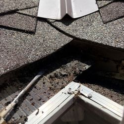 Franciscus Roofing