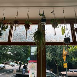 Best Friend Juice Bar & Cafe - Indoor plants