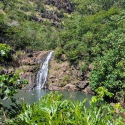 E Noa Tours - Waimea falls
