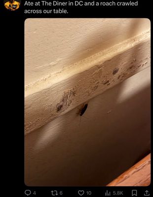 the DINER by null the DINER by null