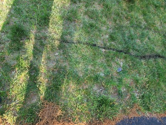 Wind River Environmental - Walpole Logo