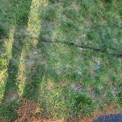 Wind River Environmental – Walpole