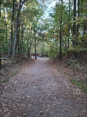 Red Mountain Park by null