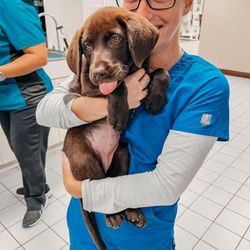 Animal Medical Clinic