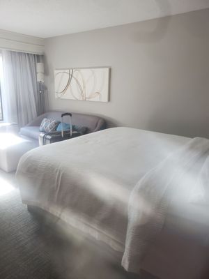 Courtyard by Marriott Houston Rice University by null