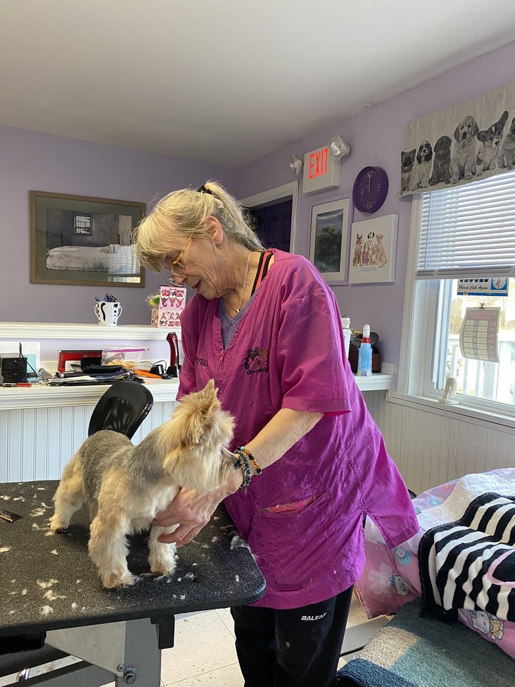 HEADS TO TAILS CRITTER GROOMING Updated August 2024 100 Scheivert