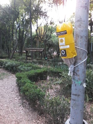 Parque México by null