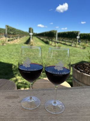 Wölffer Estate Vineyard by null Wölffer Estate Vineyard by null