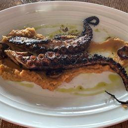 Octopus Octopus