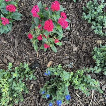 Fagan Landscaping - Landscaping Near Me Fagan Landscaping - Landscaping Near Me