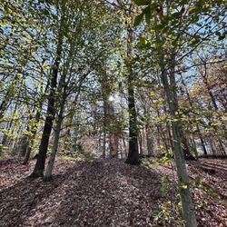 Killens Pond State Park - Pondview Trail