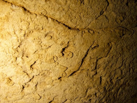 Raccoon Mountain Caverns and Campground by null