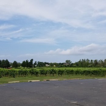 Duckwalk Vineyards - Wineries Near Me - Water Mill, New York