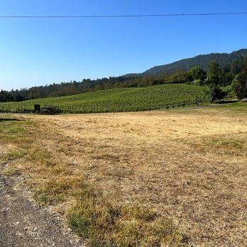 Jack London State Historic Park - Beautiful views - Parks Near Me - Glen Ellen, California Jack London State Historic Park - Beautiful views - Parks Near Me - Glen Ellen, California
