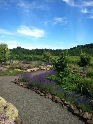 WillaKenzie Estate by null