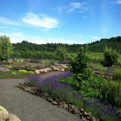 WillaKenzie Estate - Gardens.