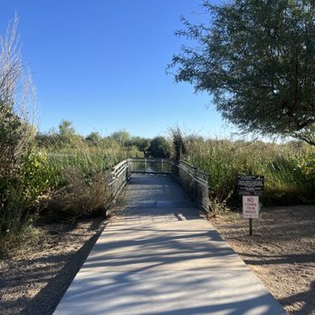 Riparian Preserve at Water Ranch - Pathway of the Water Ranch Lake Loop - Parks Near Me - Gilbert, Arizona
