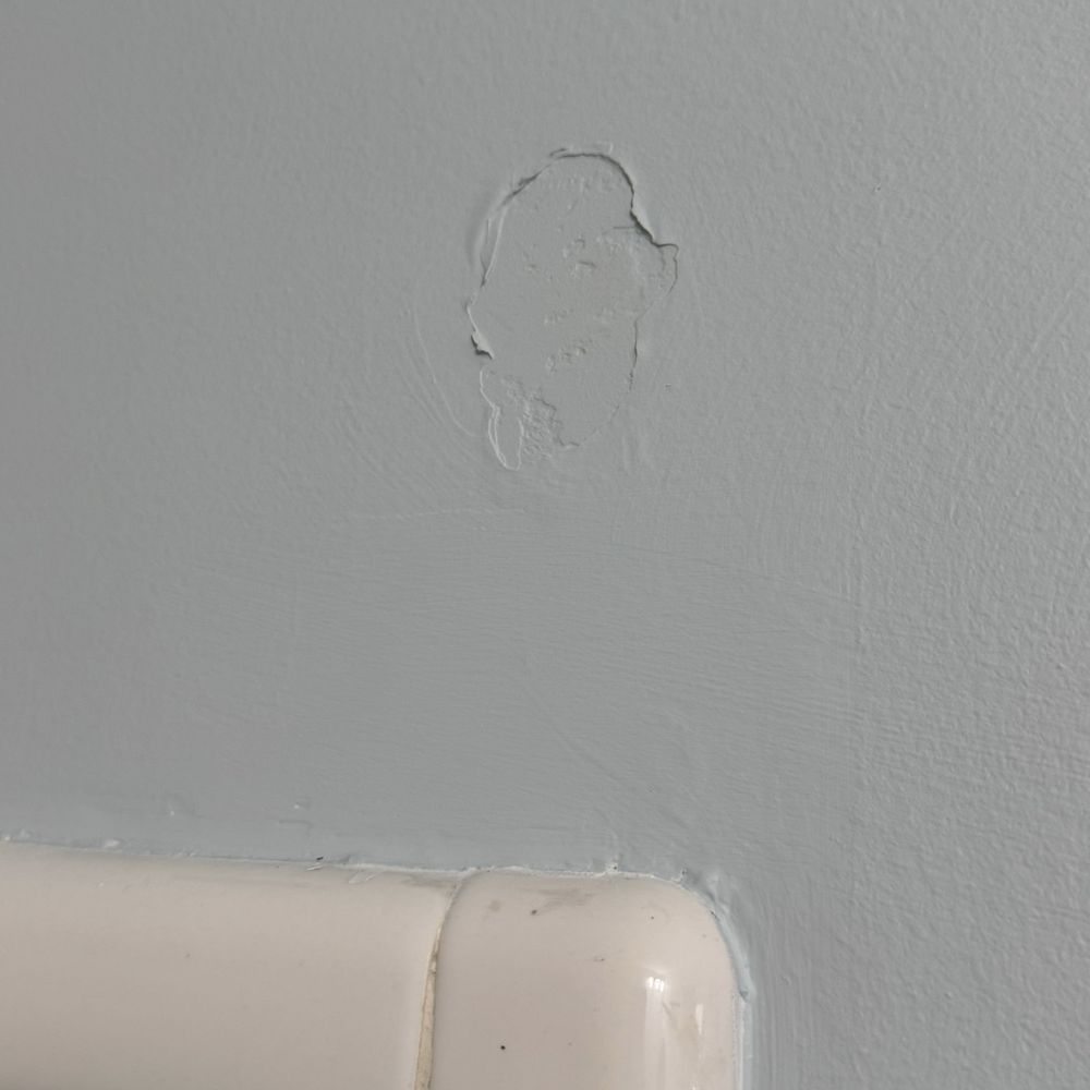 Two Sisters Paint - Didn't bother sanding, just painted over. I'm putting in a shower door!! - Painters Near Me Two Sisters Paint - Didn't bother sanding, just painted over. I'm putting in a shower door!! - Painters Near Me