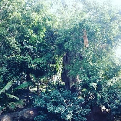 Bioparc Fuengirola by null