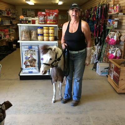 Hay Connection by null