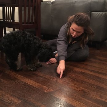 Pawsitively Waggin' Academy - Pet Training Near Me Pawsitively Waggin' Academy - Pet Training Near Me