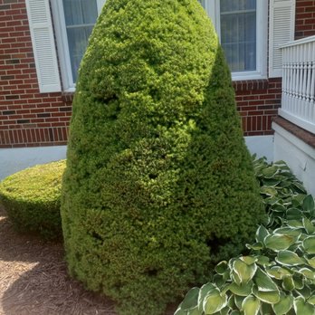 Taylor's Lawn Care - Lawn Services Near Me - Rocky Gap, Virginia Taylor's Lawn Care - Lawn Services Near Me - Rocky Gap, Virginia